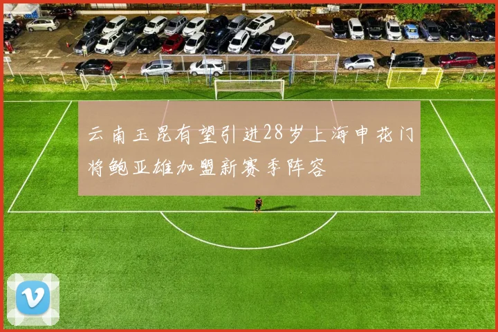 云南玉昆有望引进28岁上海申花门将鲍亚雄加盟新赛季阵容
