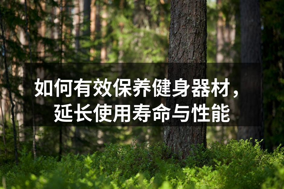 如何有效保养健身器材，延长使用寿命与性能