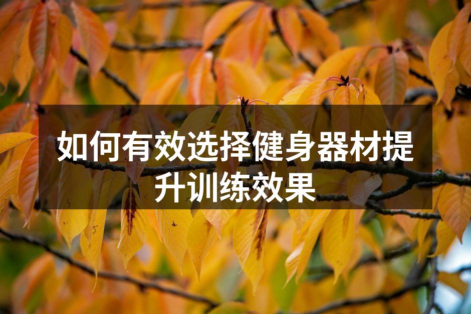 如何有效选择健身器材提升训练效果